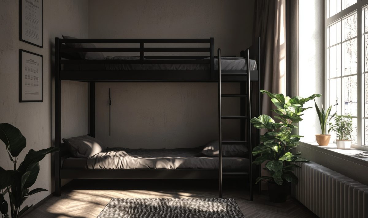  A black bunk bed with a ladder and a plant in front of it